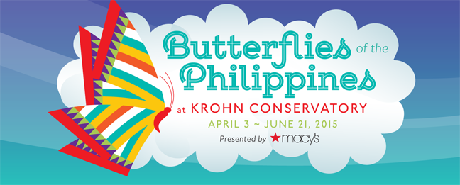 All you need to know about Butterflies of the Philippines at Krohn Conservatory