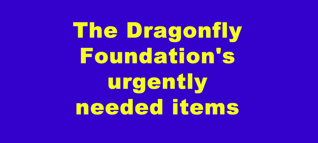 The Dragonfly Foundation’s urgently needed items