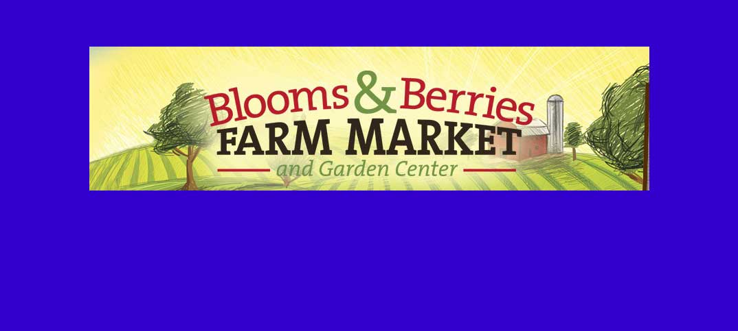 blooms-berriesfeatured-image-template