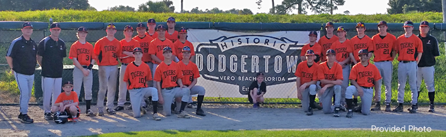 tiger-baseball-photo