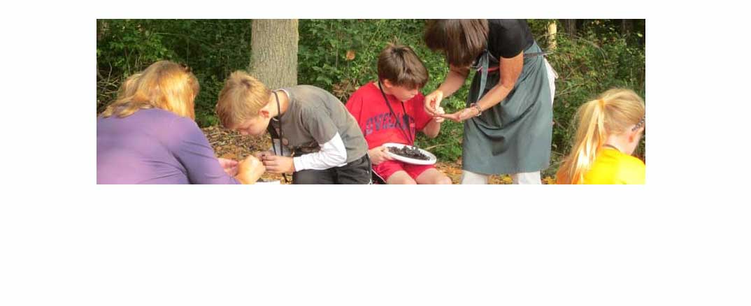 Job openings for part-time Garden Educators