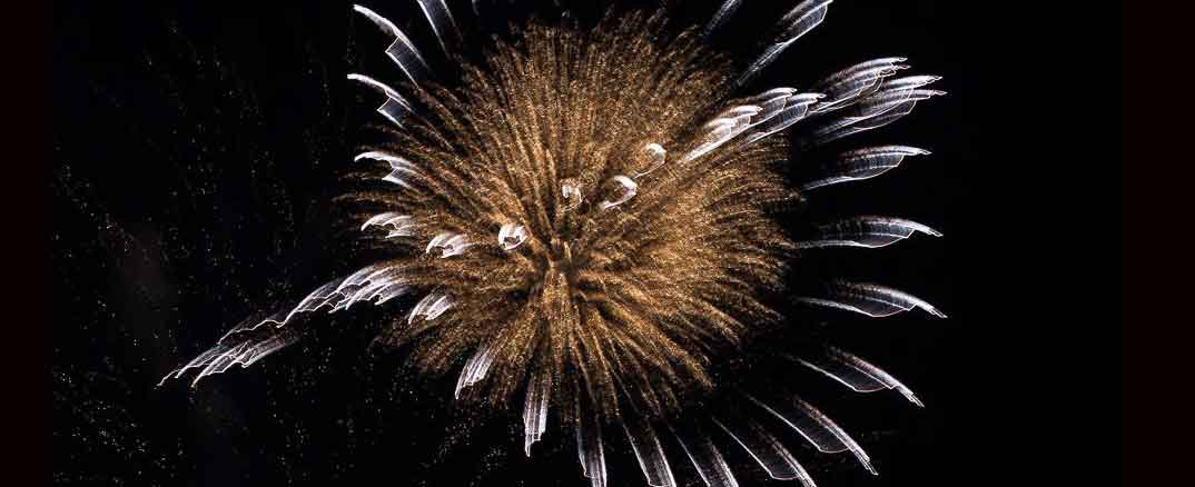 Loveland fireworks photos by Angela Morales