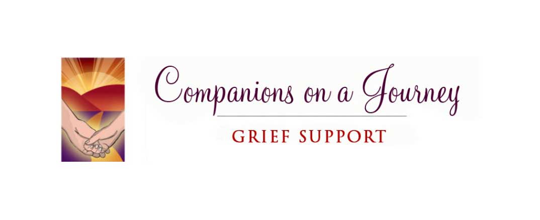 Companions on a Journey: I will be riding my first Century (100 miles)!