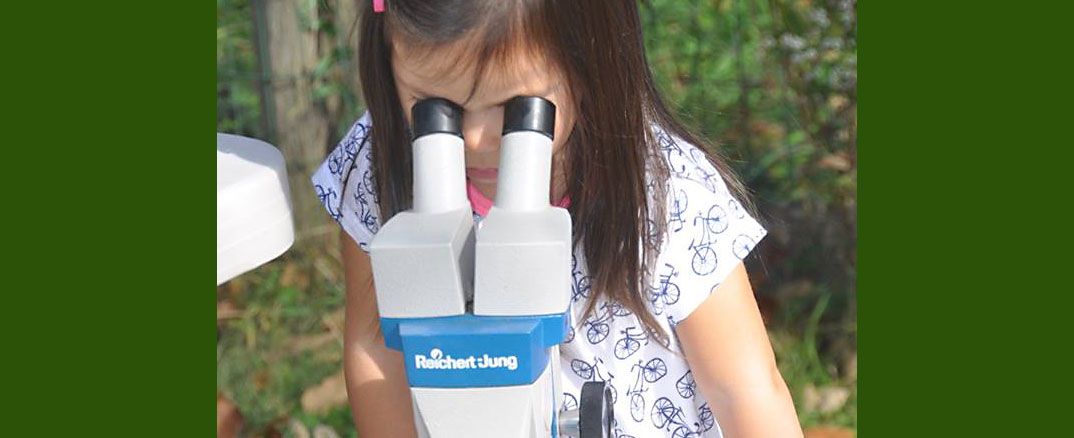 Montessori School Shares Passion for Nature during Great Outdoor Weekend