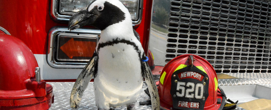 Newport Aquarium to offer free admission to police, fire and first responders this weekend
