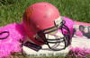 Pink game is Rumble for the (pink) ribbon at Tigers vs. Knights
