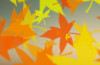 Loveland’s fall leaf collection schedule