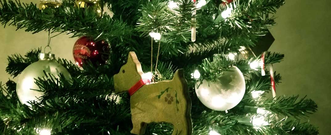 Recycle broken Christmas Lights in Loveland