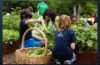 “Dear Mrs. Obama – I think you should come visit our garden.”