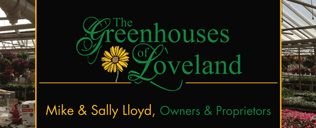 greenhouse-9'