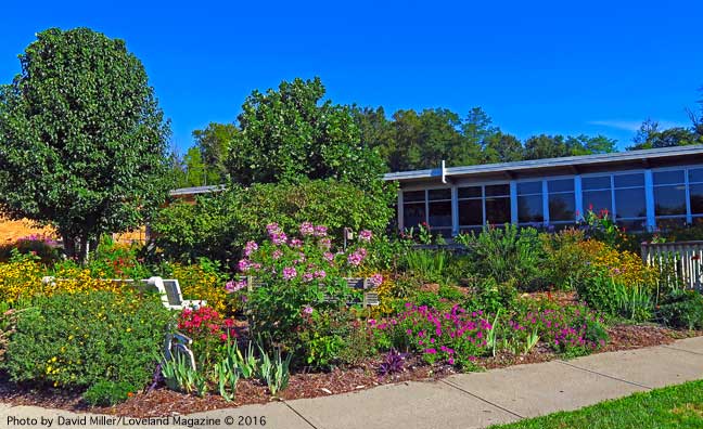 primary-school-garden---1