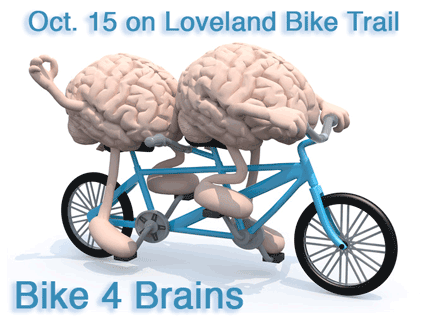 bikes-brains