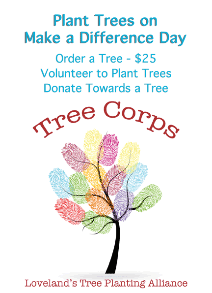 tree-corps-buying-guide-b
