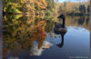 Looking for a autumn event around Ohio?