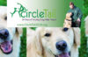 Celebrate Circle Trail’s 20-years of helping dogs help people