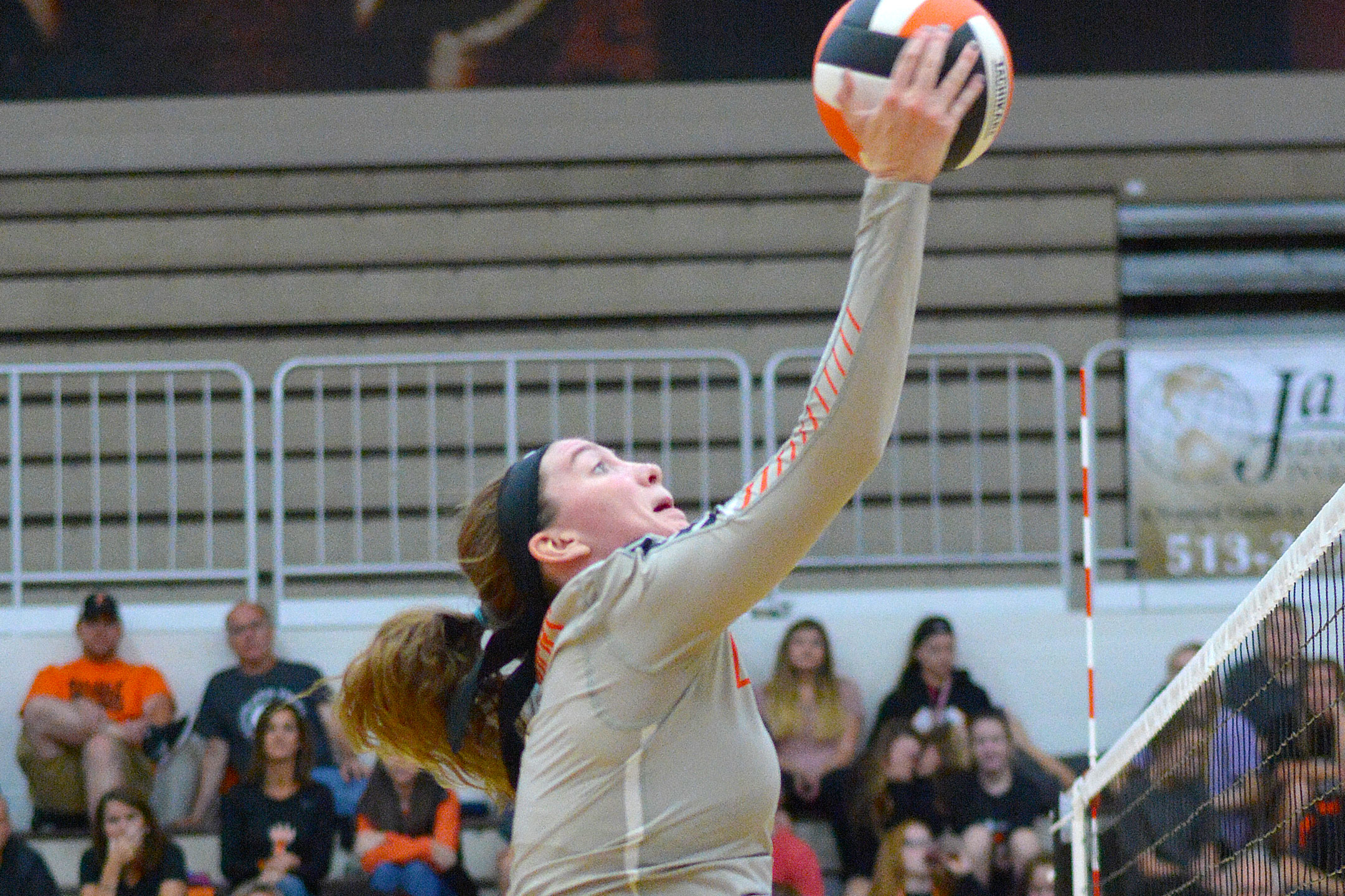[Photo Album] Tiger Volleyball