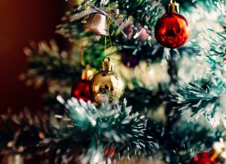 Loveland Christmas Tree Removal