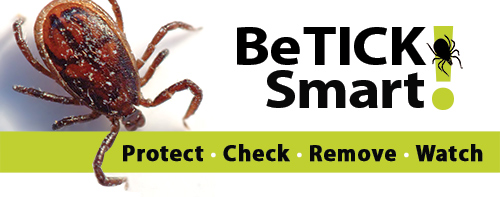 With the Arrival of Warm Weather in Ohio, Be Sure to Prevent Tick, Mosquito Bites and the Diseases They Carry