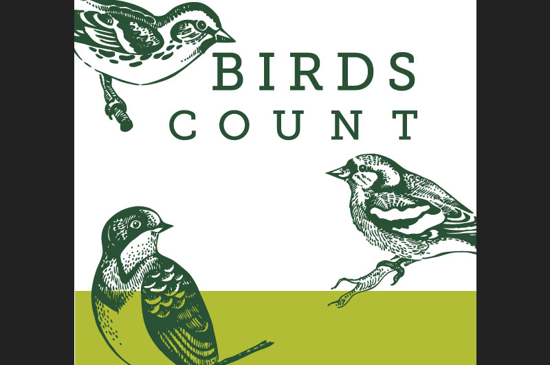 You can join the Bird Count