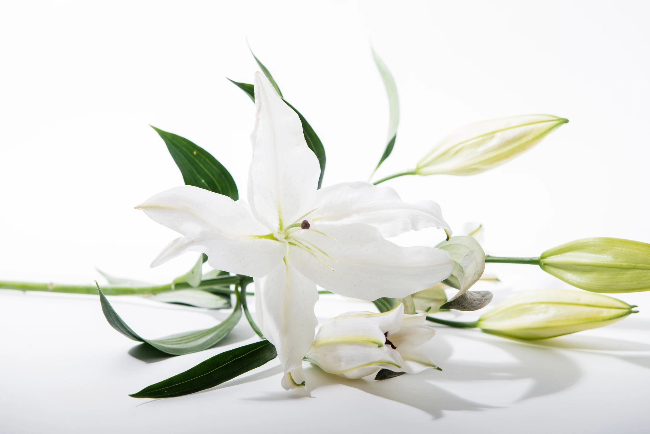 M/INT PTSA to Turpin Community and Loveland Staff: Our deepest condolences