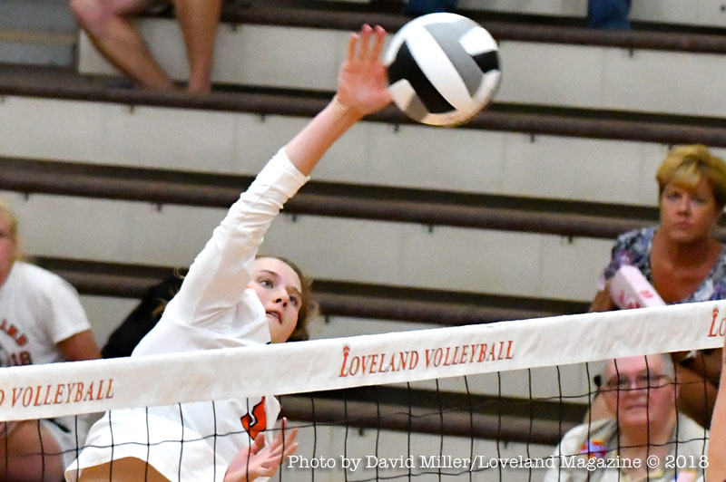 Loveland Tigers Sports Teams Continue Their Runs For ECC Titles!