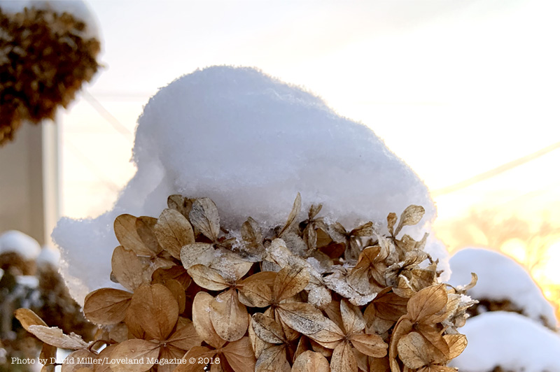 Just for the Record: The snow from Nov. 11 – 12 was indeed deeply early