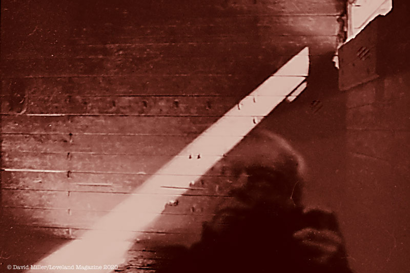 The Unending Night of Auschwitz