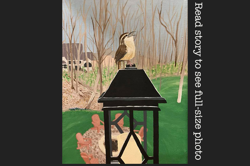 Carolina Wren painting by Katie Fackler