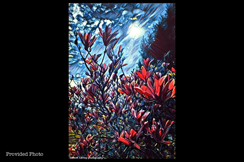 A painted photo by Scott Carney