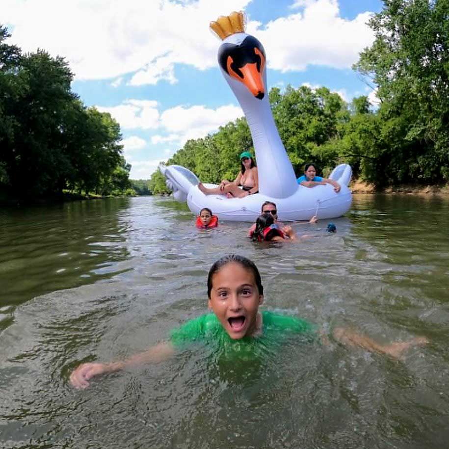 Have you seen Loveland’s “Amazon Swan?!”