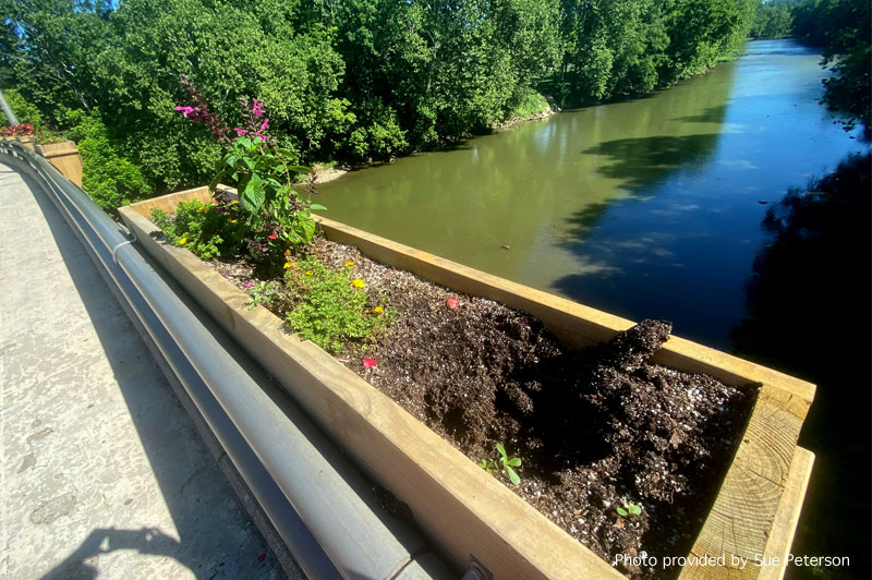Bridge flower boxes vandalized