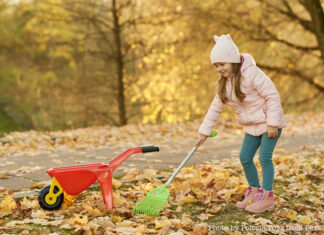 Loveland’s Fall Leaf Collection schedule