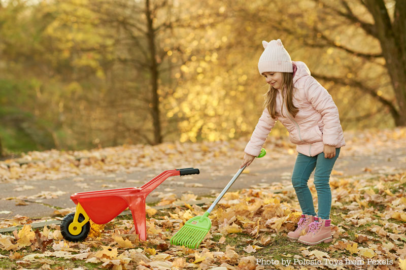 Loveland’s Fall Leaf Collection schedule