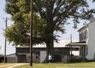 Lovelanders and their trees: Iris Wilson with her Pin Oak Tree