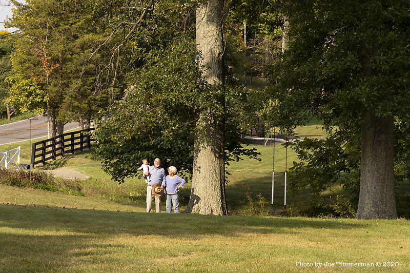 Lovelanders Pat, Norah Jane, and Becky Hill connect with their trees amid COVID-19 Pandenic