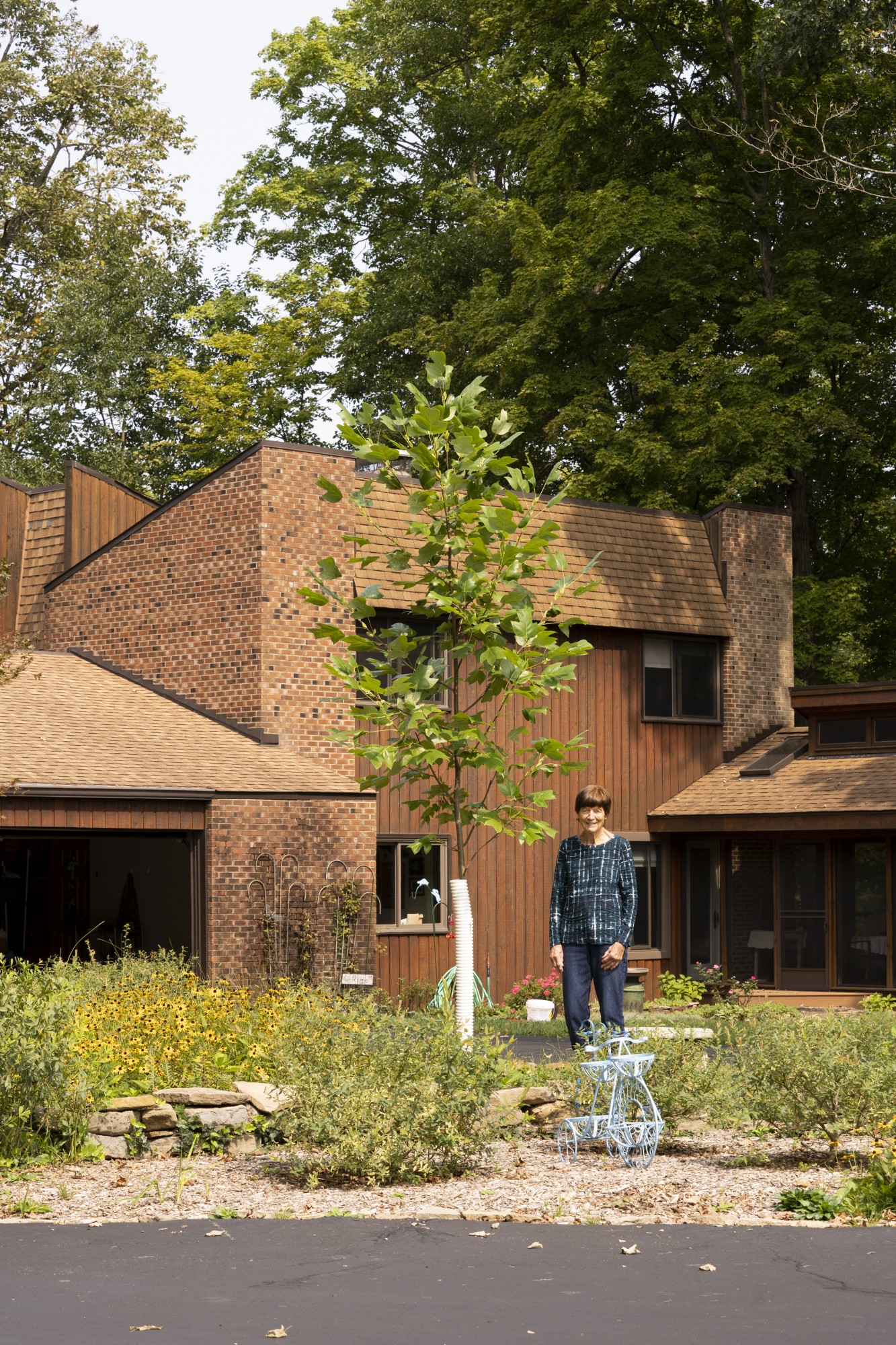Lovelanders and their trees: Jan Beller with her Tulip Poplar Tree