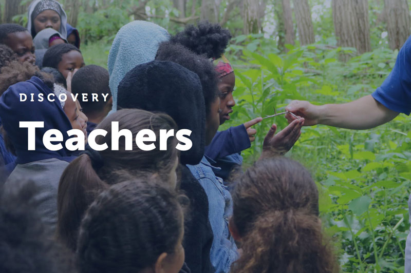 Loveland Teachers, do you want to bring your lessons to life?