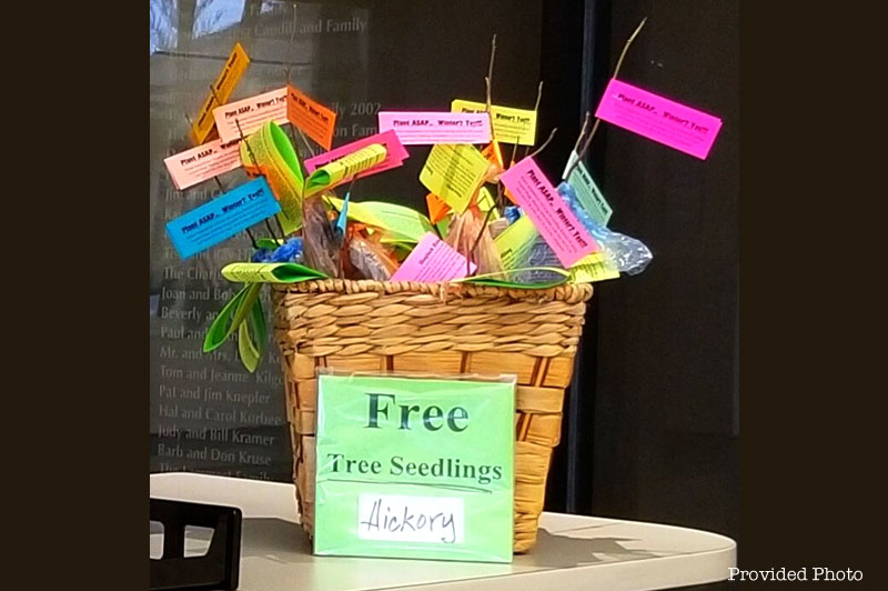 Cindy Kessler is Making Loveland a Better Place, One Tree Seedling at a Time!