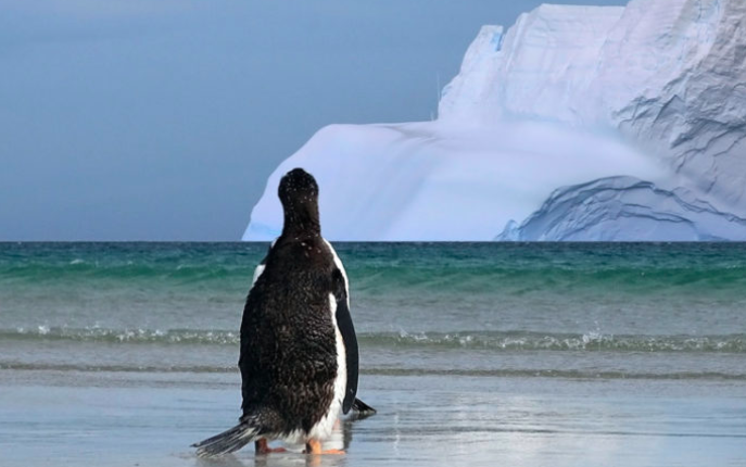 We’re approaching critical climate tipping points: Q&A with Tim Lenton/ Covering Climate Now