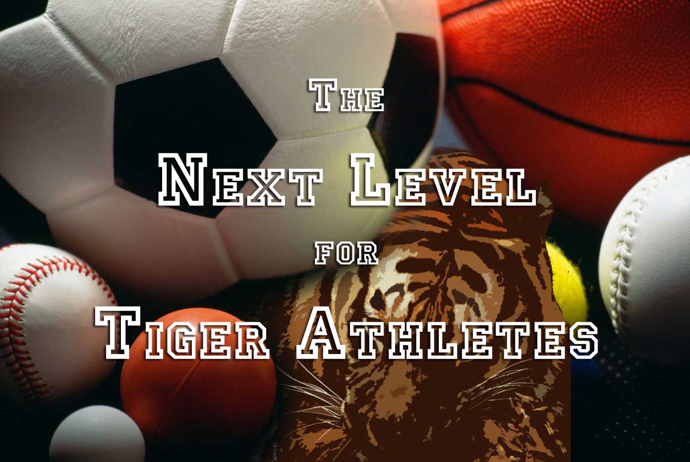 LHS Tigers Ogdan, Dewitt, Vallee, and Zicka all Sign to Play Collegiate Athletics!