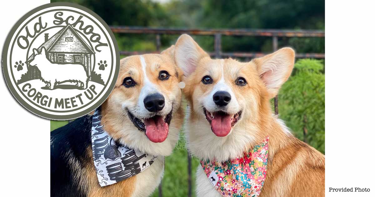 It’s Time for the 2nd Annual “Old School Corgi Meet-up!”