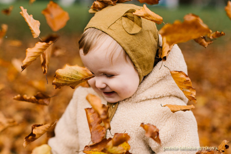 Autumn Leaf Collection for Loveland