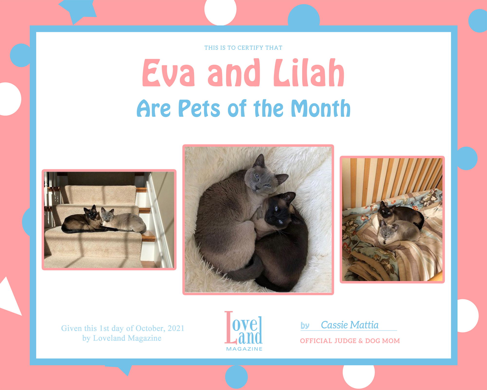 Loveland Magazine’s October Pets of the Month are Announced!