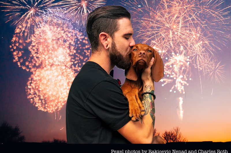 Fireworks Alert for pets
