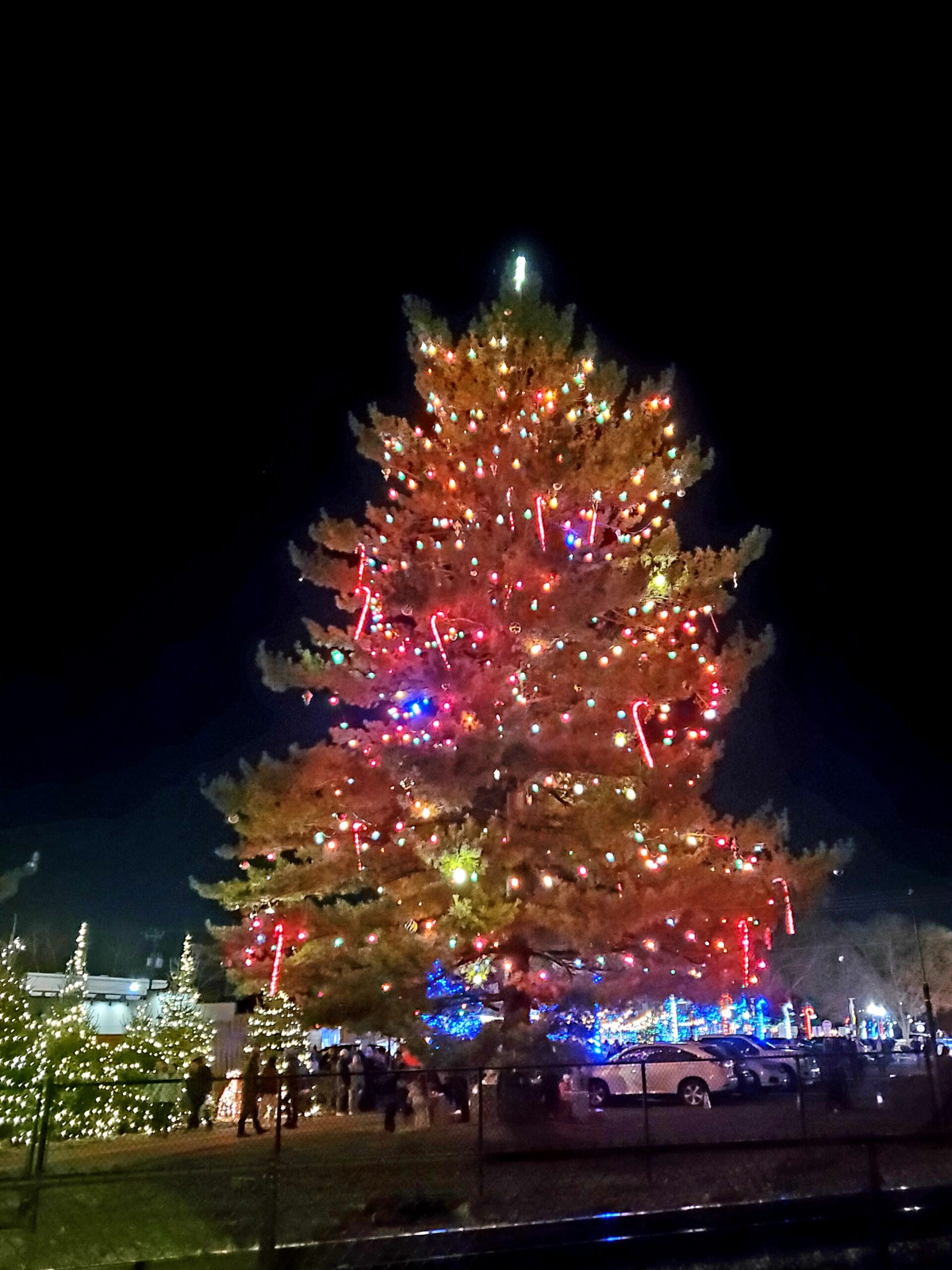 Loveland’s Christmas Tree Lighting Kicks off the Holidays for the Community!