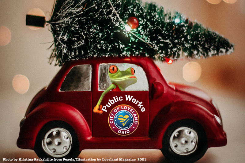 Recycle your Christmas Tree in Loveland