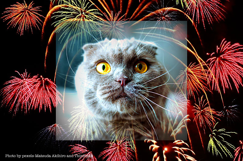 Fireworks Alert for tonight from Historic Downtown
