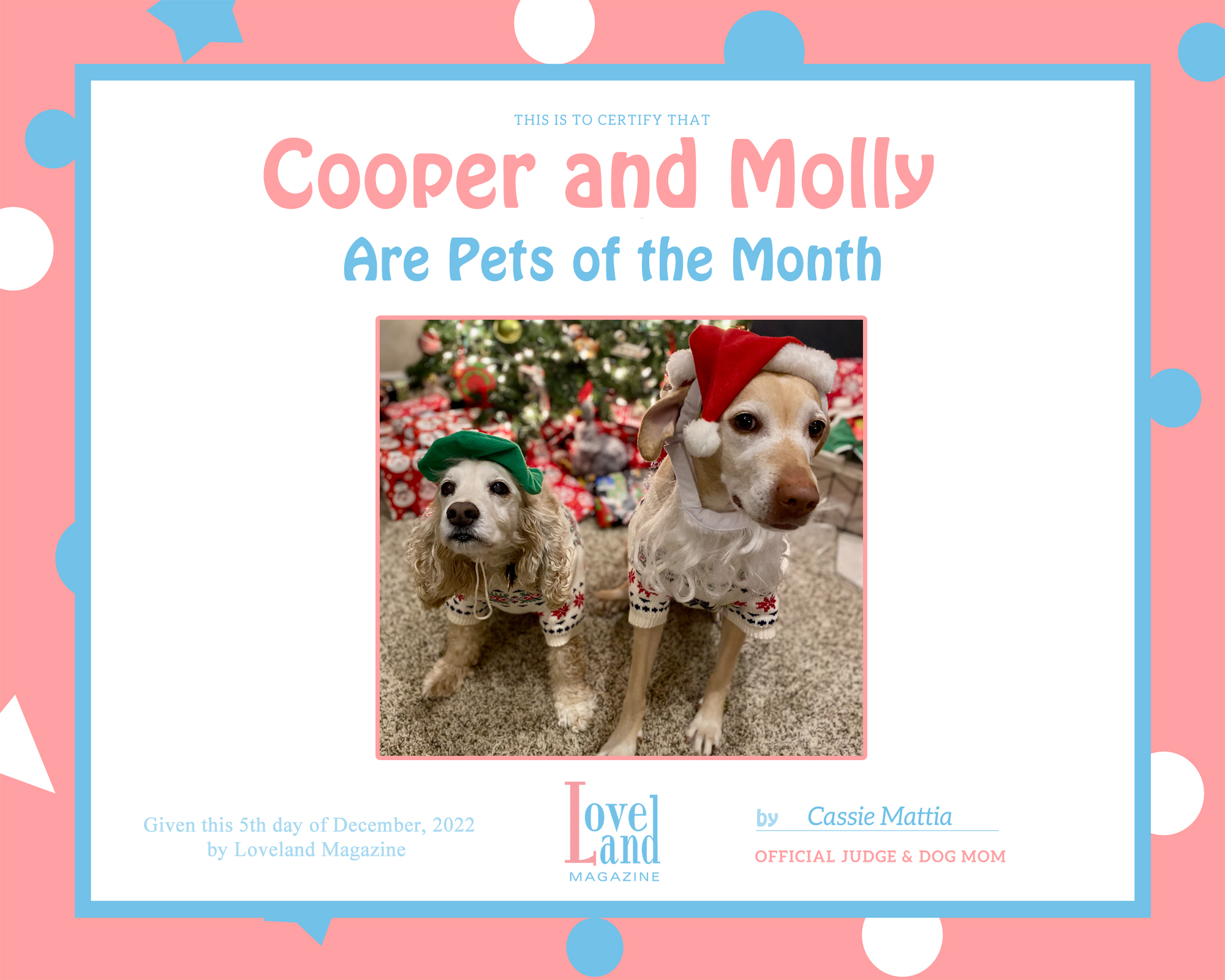 Loveland Magazine’s January Pet of the Month is Announced!