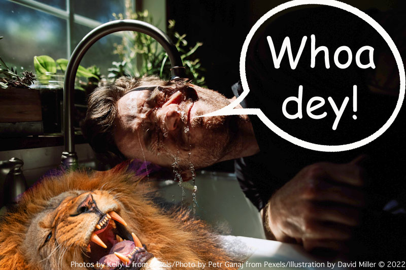 Poll ‘Should Loveland Schools declare a “Mon’Dey Hangover Holiday” after Super Bowl Sun’Dey?