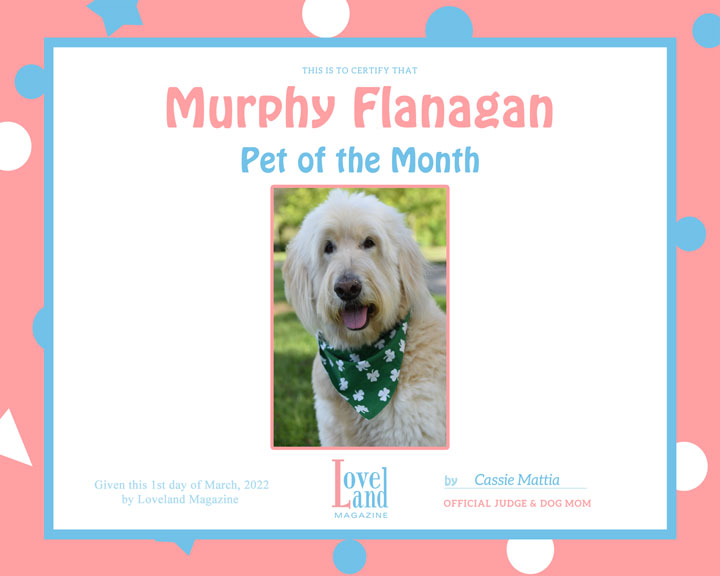 Loveland Magazine’s March Pet of the Month is Announced!